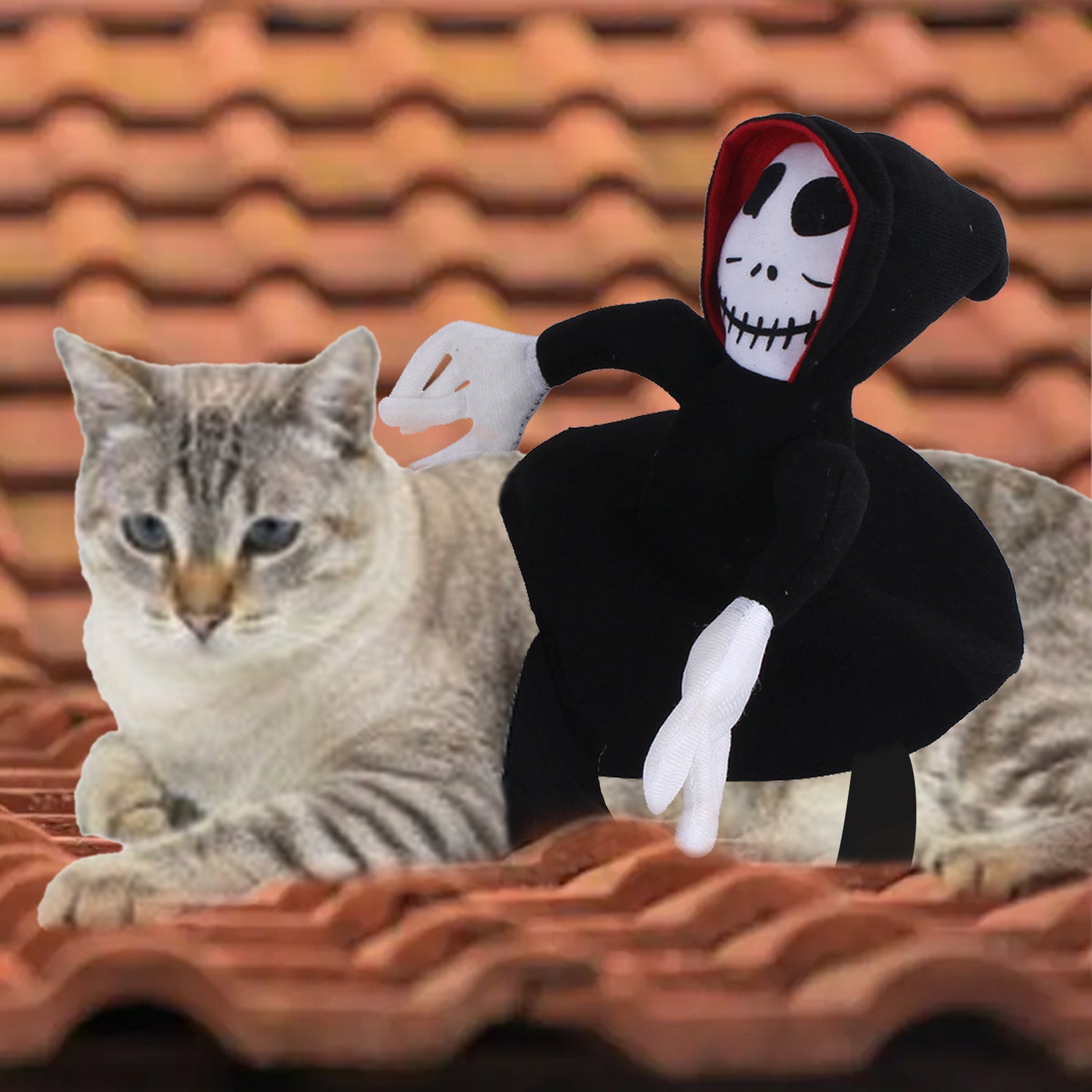 NEW Funny Pet Halloween Costume Halloween Pet Decoration Dress up Pet Cosplay Costume Halloween Pet Clothes Spider Pumpkin Vest