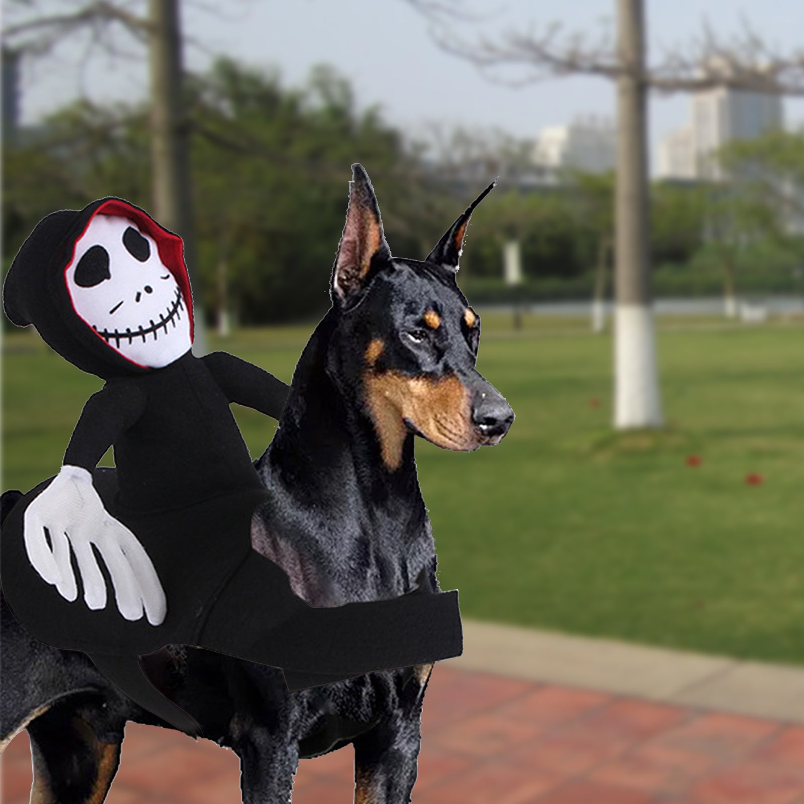 NEW Funny Pet Halloween Costume Halloween Pet Decoration Dress up Pet Cosplay Costume Halloween Pet Clothes Spider Pumpkin Vest